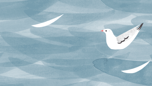 Behind the Print: Seagulls