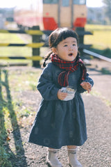 broidery Puffy Babydoll Dress, 100% Cotton, Girl Dress