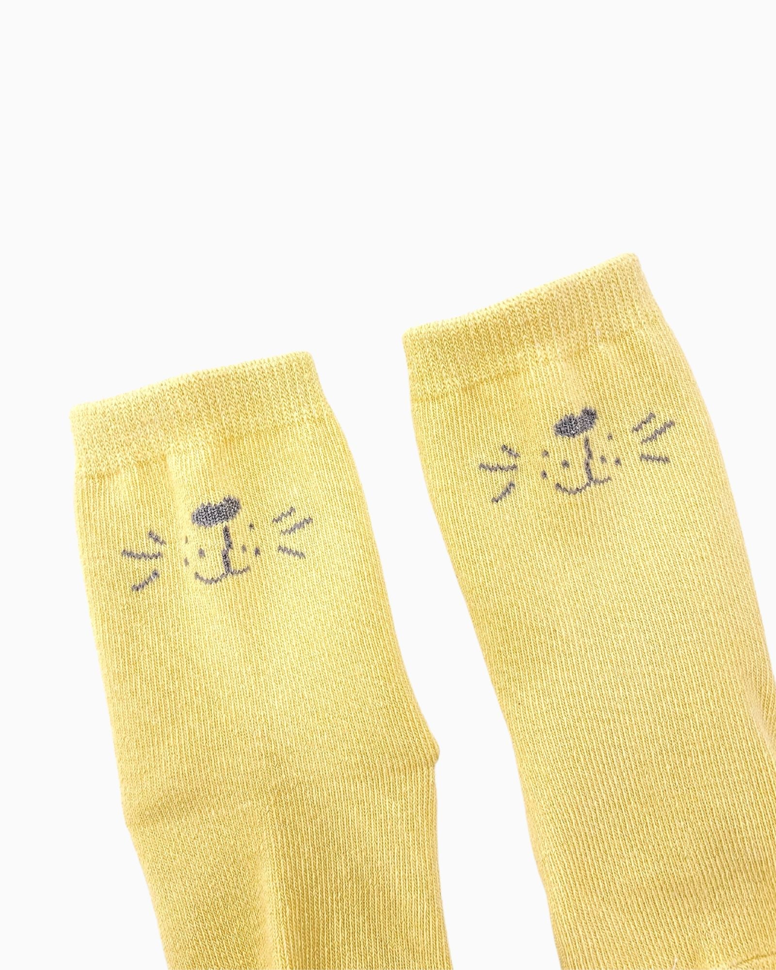 活力獅子王嬰兒禮盒